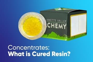 Concentrate 101: What is Cured Resin?