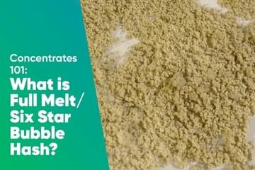 Concentrates 101: What is Full Melt Six Star Bubble Hash?
