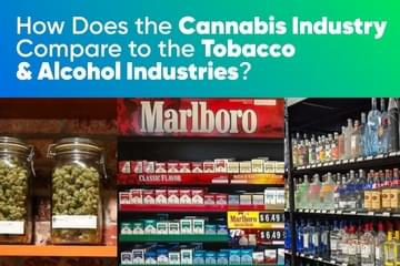 How Does the Cannabis Industry Compare to the Tobacco & Alcohol Industries?