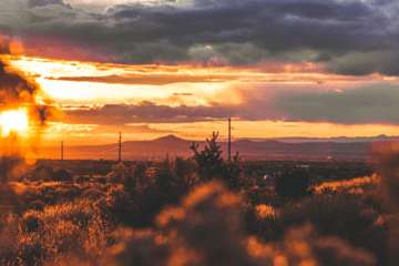 Recreational Cannabis Sales in New Mexico Reached Over $4.5 Million During Opening Weekend