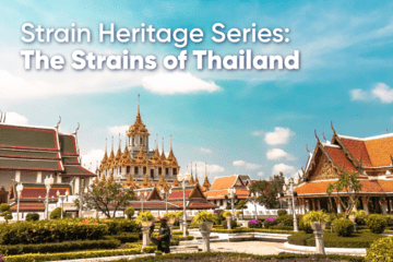 Strain Heritage Series: Strains of Thailand