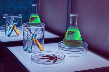 Top Six Biggest Cannabis Research Studies of 2021
