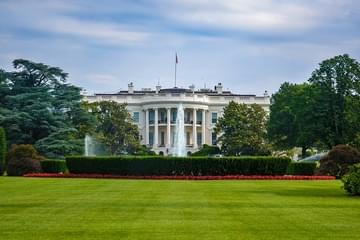 Where the 2020 Presidential Candidates Stand on Cannabis