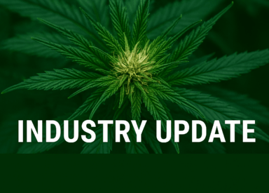 Cannabis Industry News - December 2025