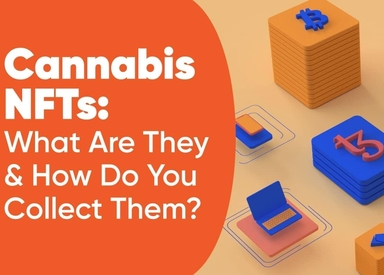 Cannabis NFTs: What Are They & How Do You Collect Them?