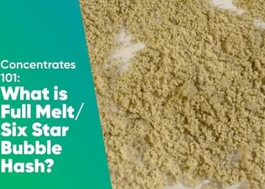 Concentrates 101: What is Full Melt Six Star Bubble Hash?