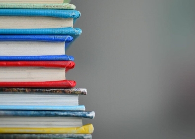 Beal University of Maine Launches Cannabis Degree Program