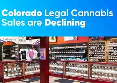 Colorado Legal Cannabis Sales Are Declining