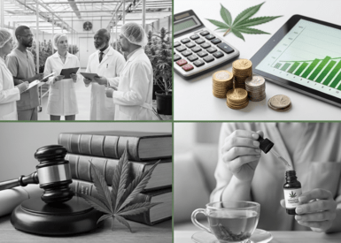How Schedule III Ends 280E: What Cannabis Businesses Need to Know