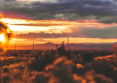 Recreational Cannabis Sales in New Mexico Reached Over $4.5 Million During Opening Weekend