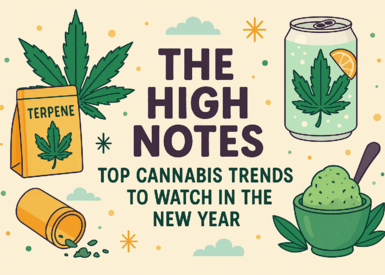 The High Notes: Top Cannabis Trends to Watch in the New Year