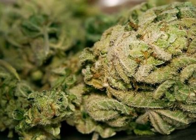 What is Decarboxylation? How to Unlock the Power of THC