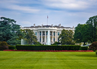 Where the 2020 Presidential Candidates Stand on Cannabis