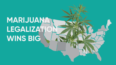 2020 Election Results: Marijuana Legalization Wins Big