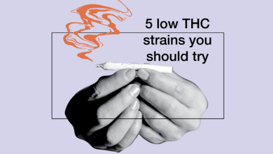 5 Low-THC Strains You Should Try