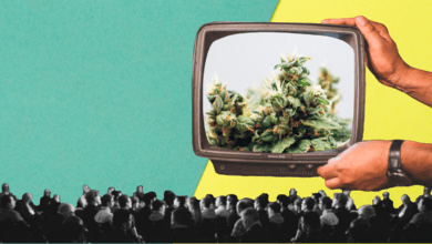 August 2021 Cannabis Events