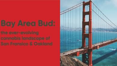 Bay Area Bud: The Ever-Evolving Cannabis Landscape in San Francisco & Oakland