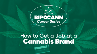 BIPOCANN Career Series: How to Get a Job at a Cannabis Brand