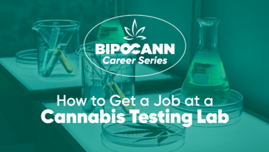 BIPOCANN Career Series: How to Get a Job at a Cannabis Testing Lab