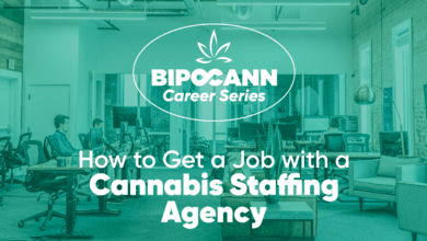 BIPOCANN Career Series: How to Get a Job with a Cannabis Staffing Agency