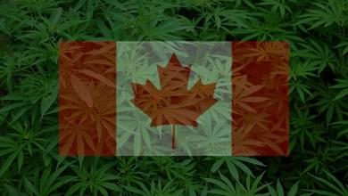 CANADIANS ARE ALREADY COMPLAINING THAT LEGAL WEED IS TOO EXPENSIVE