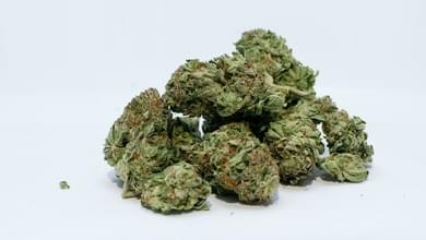 College course to focus – mostly – on more serious side of marijuana