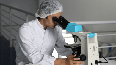 DEA Announces Huge Increase in Cannabis and Psilocybin Research