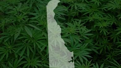 Delaware marijuana task force to vote on final report