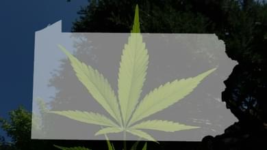 First year of Pennsylvania’s medical marijuana sales: Plenty of patients, a trickle of taxes