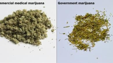 Government marijuana looks nothing like the real stuff. See for yourself.