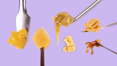 How to Choose and Dose Cannabis Concentrate