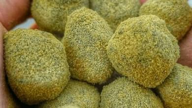 How to Smoke Kief Infused Products: Bubble Hash, Moonrocks & Sunrocks