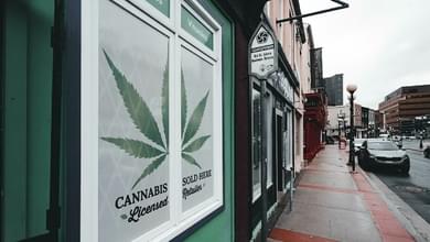 How to Start Your Own Cannabis Brand: Licensing