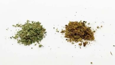 How to Use Already Vaped Bud: 9 Amazing Uses for AVB