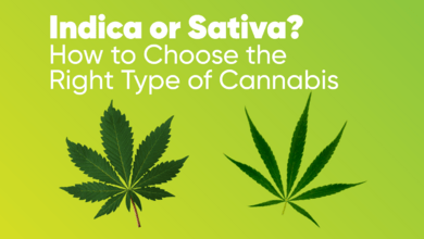 Indica or Sativa? How to Choose the Right Type of Cannabis
