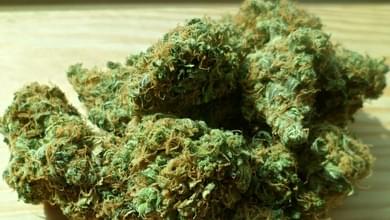 L.A. APPROVES MARIJUANA RULES FOR RECREATIONAL DISPENSARIES