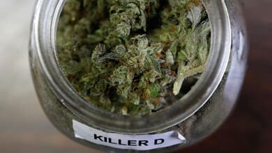 Maine Communities Putting Brakes on Marijuana Sales