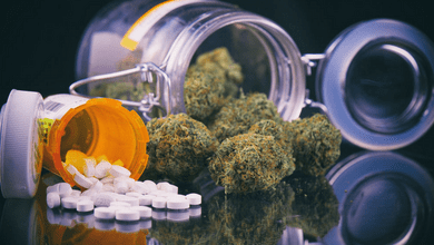 Marijuana Compound Shows Some Potential for Treating Opioid Addiction