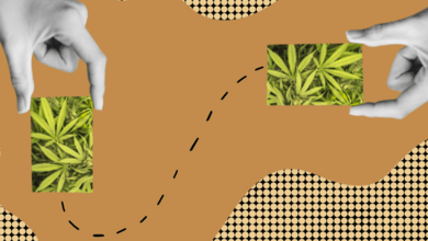 Medical Marijuana Card Reciprocity: State-by-State Breakdown