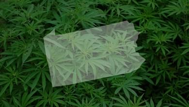 Medical Marijuana Dispensary Opens In Strip District