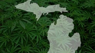 Michigan releases symbol to label medical marijuana products