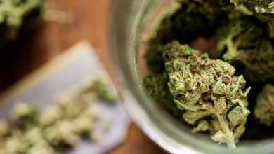 Michigan Voters Could Legalize Recreational Marijuana Use In 2016 Election