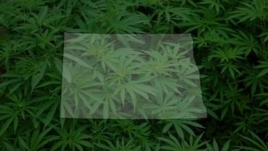 ND recreational marijuana group submits signatures hours ahead of deadline