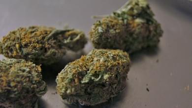 New Hampshire Marijuana Decriminalization Takes Effect