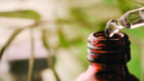 Poll shows unwavering support for medical marijuana