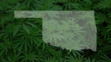 Sand Springs Business Teaches How To Grow Marijuana