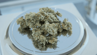 Synthetic Weed and Cannabinoids: How to Tell the Difference Between Them