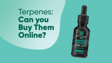 Terpenes: Can you Buy Them Online?