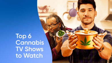 Top 6 Cannabis TV Shows to Watch