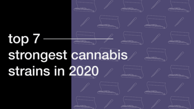 Top 7 Strongest Cannabis Strains in 2020